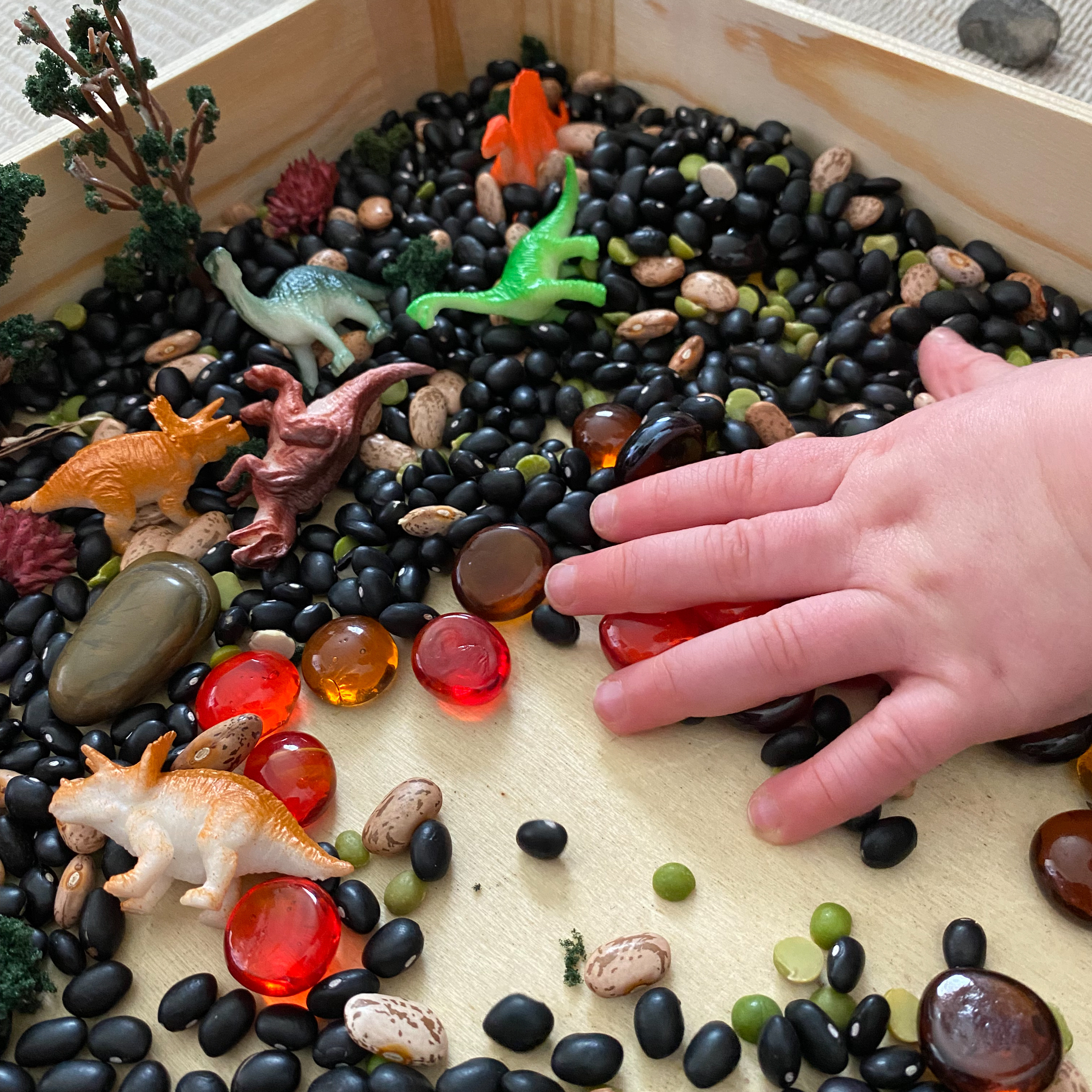 Toddler hand scooping up black beans and red glass beads from the dinosaur bin.