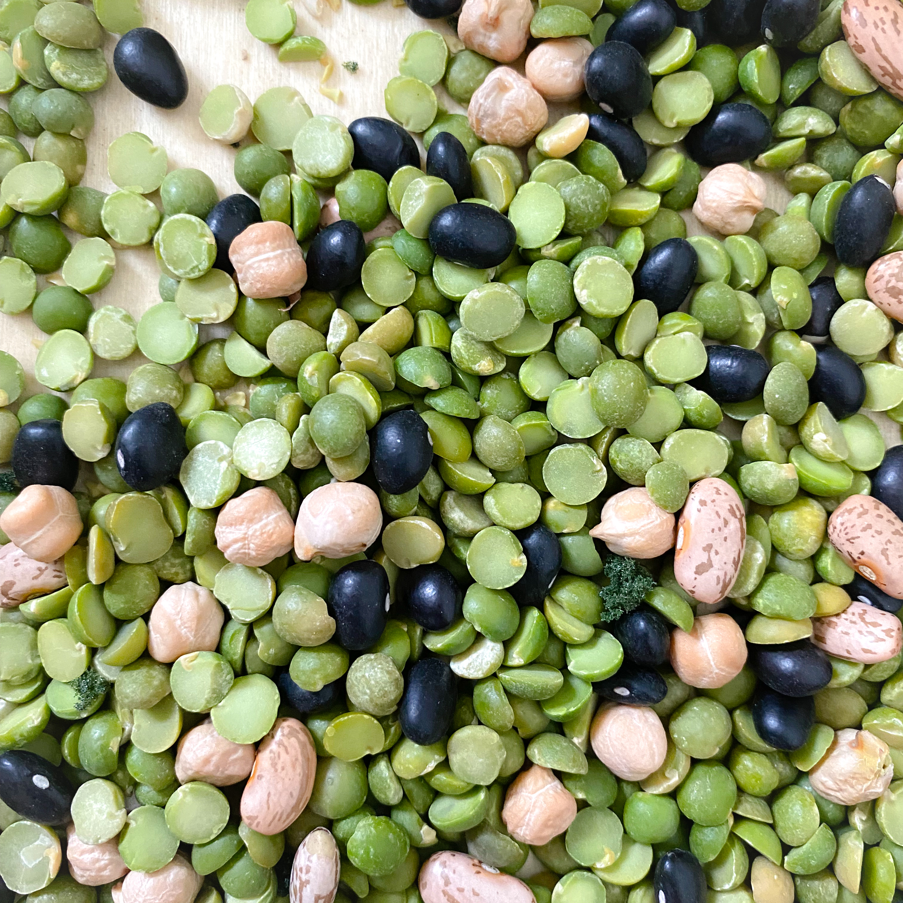 Forest bin filler: primarily green split peas with scattered black, pinto and garbanzo beans.