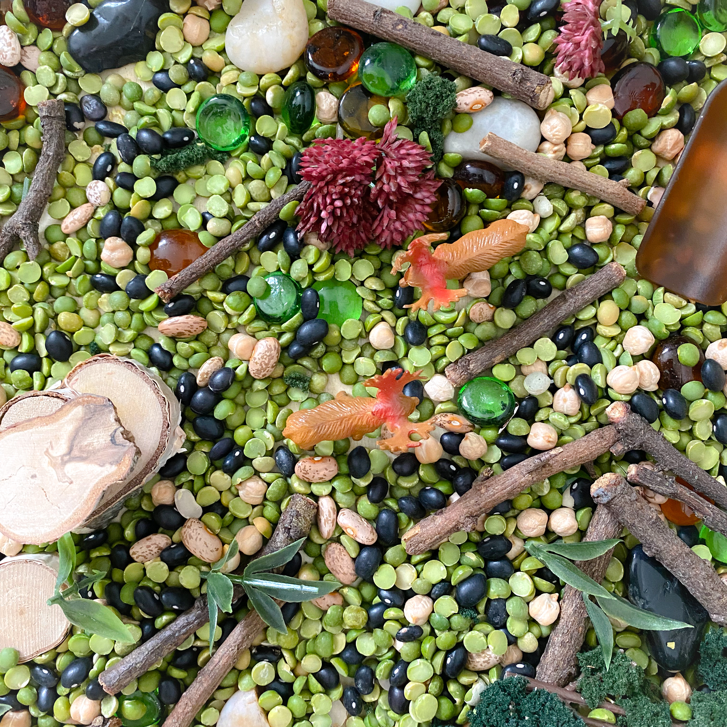 Top-down view of the forest bin with green split peas and other elements made to look like a forest floor.